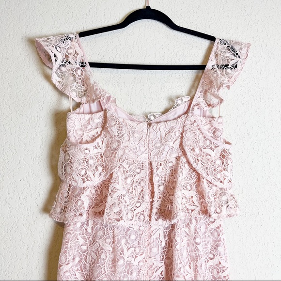 Amur Hayden Lace Midi Dress Blush Pink Size 2 NWT - Picture 8 of 11